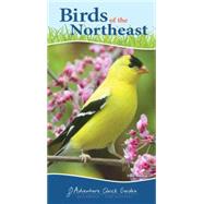 Birds of the Northeast Quick Guide 9781591934073