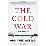 The Cold War A World History 9781541674097