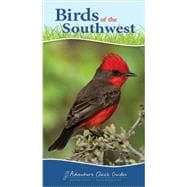 Birds of the Southwest Quick Guide 9781591934103