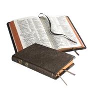 NASB Pitt Minion Reference Edition NS446XR Brown Goatskin Leather 9780521604116