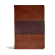 Holy Bible 9781535954143