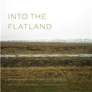 Into the Flatland 9781611174151