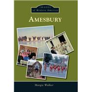 Amesbury 9781467134163