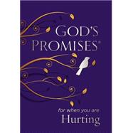 God's Promises for When You Are Hurting 9780718034177