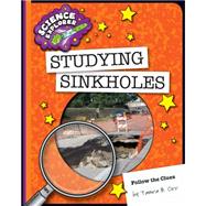 Studying Sinkholes 9781633624191