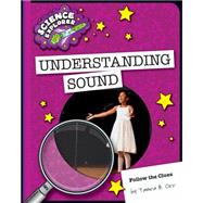 Understanding Sound 9781633624214