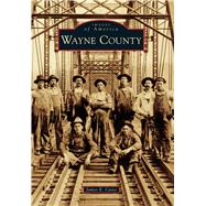 Wayne County 9781467134231