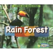 Rain Forest
