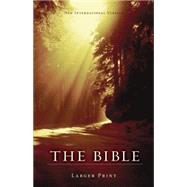 The Holy Bible 9781563204371