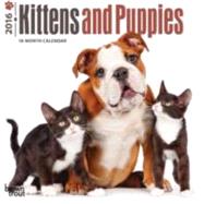 Kittens and Puppies 2016 Calendar 9781465044372