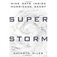 Superstorm 9780525954408