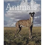 Animals in Photographs 9781606064412