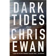 Dark Tides A Thriller 9781250074423