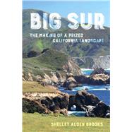 Big Sur 9780520294424
