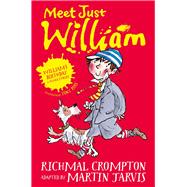 William's Birthday and Other Stories 9781509844456