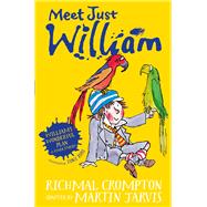 William's Wonderful Plan and Other Stories 9781509844470