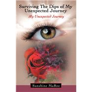 Surviving the Dips of My Unexpected Journey 9781973654476