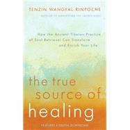 The True Source of Healing: How the Ancient Tibetan Practice of Soul Retrieval Can Transform and Enrich Your Life 9781401944490