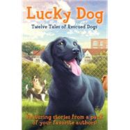 Lucky Dog Twelve Tales of Rescued Dogs 9780545554510