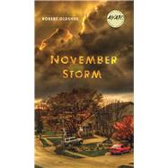 November Storm 9781609384517