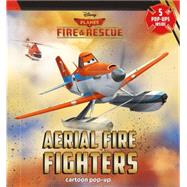 Aeiral Fire Fighters 9781618894519