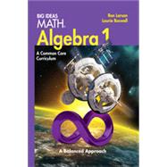 Larson Big Ideas Common Core Algebra 1 9781608404520