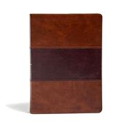Holy Bible 9781535954532