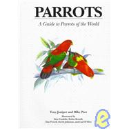 Parrots
