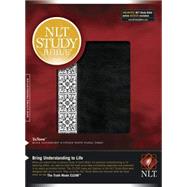 NLT Study Bible 9781414324548