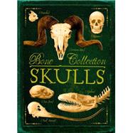 Bone Collection: Skulls 9780545724579