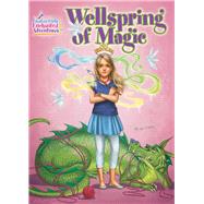 Wellspring of Magic 9781573674638