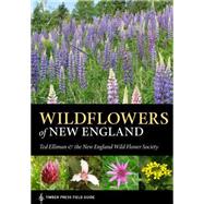 Wildflowers of New England 9781604694642