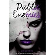 Public Enemies 9781250024664