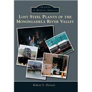 Lost Steel Plants of the Monongahela River Valley 9781467134668