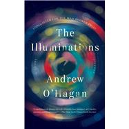 The Illuminations A Novel 9781250094681