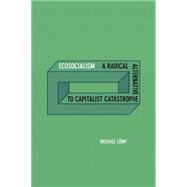 Ecosocialism 9781608464715