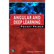Angular and Deep Learning Primer