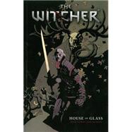 Witcher 1 9781616554743