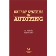 Expert Systems in Auditing 9781349124763