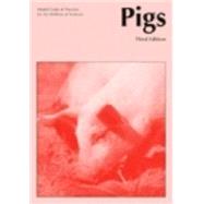 Pigs