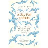 A Sky Full of Birds 9781846044793