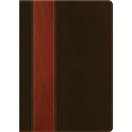 La biblia de studio del diario vivir 9781414314815