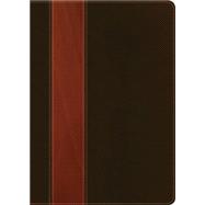 Biblia de estudio del diario vivir 9781414314822