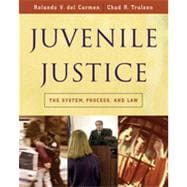Juvenile Justice: The System, Process and Law, 1st Edition