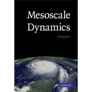 Mesoscale Dynamics