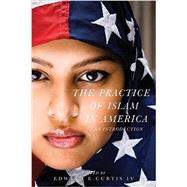 The Practice of Islam in America 9781479804887