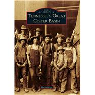 Tennessee’s Great Copper Basin 9781467124942