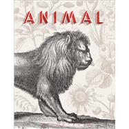 Animal A Beastly Compendium 9781474274944