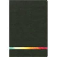 RVR 1960 Biblia de Estudio Arco Iris, verde profundo/multi símil piel con índice 9781433644955