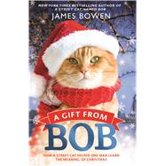 A Gift from Bob How a Street Cat Helped One Man Learn the Meaning of Christmas 9781250104960